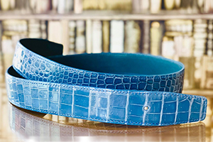 belt type01